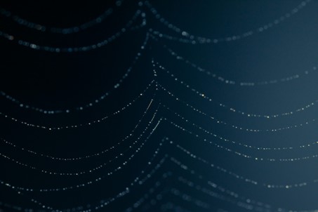 Beyond the Surface: Unveiling the Many Ways Management Research Shapes Organizations and Society
