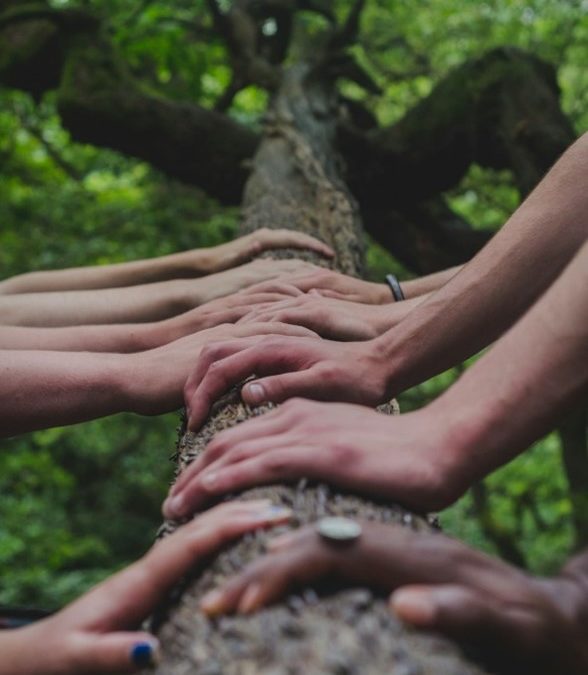 How can we improve our understanding of cross-sector partnerships as effective interventions for societal grand challenges?