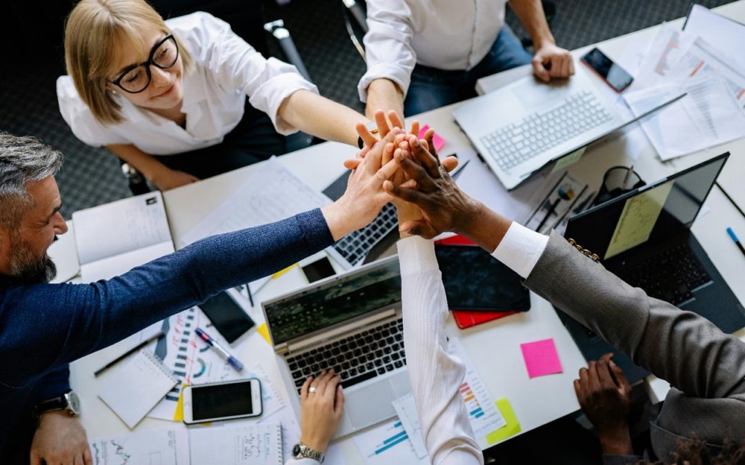 When Diverse Knowledge Backgrounds Are Not Enough for Team Innovation: The Hidden Cost of Status Inequality